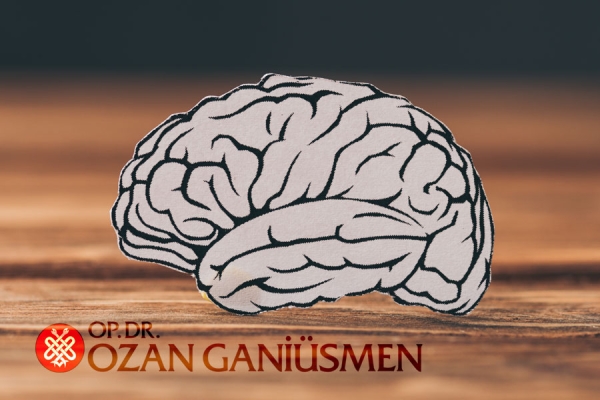 Yaşlandık&ccedil;a Beyne Ne olur?